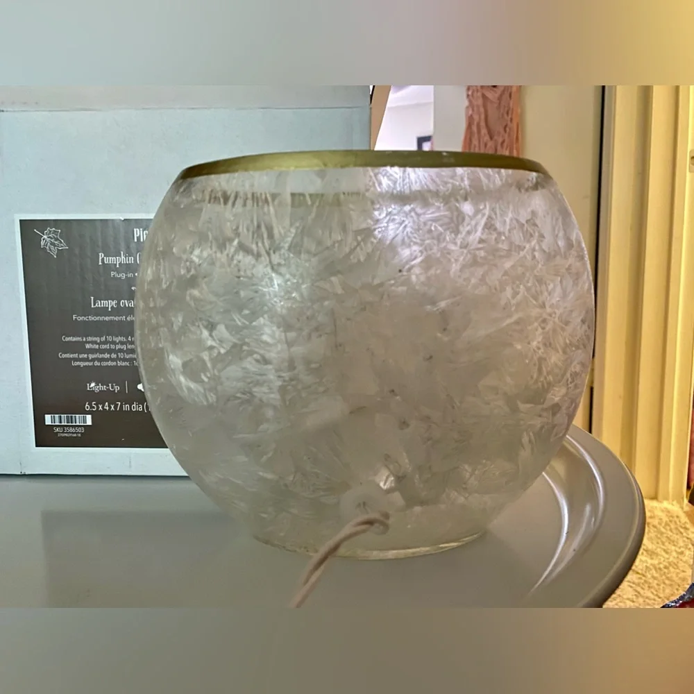 New! Pier 1 pumpkin lamp fall decor - Picture 5 of 5